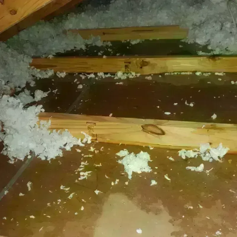 Attic Water Damage in Blue Earth, MN