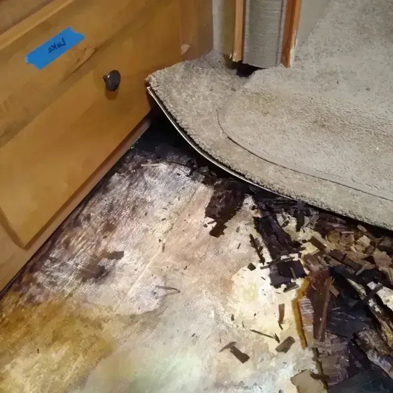 Best Wood Floor Water Damage Service in Blue Earth, MN